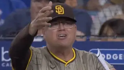 Mike Shildt shouts from the dugout