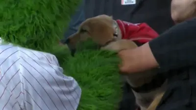 Tugger and the Phillie Phanatic
